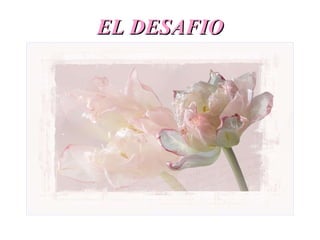 EL DESAFIO 