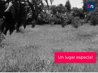 Un lugar especial
 