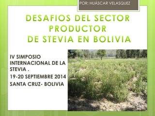 POR: HUÁSCAR VELASQUEZ 
IV SIMPOSIO 
INTERNACIONAL DE LA 
STEVIA . 
19-20 SEPTIEMBRE 2014 
SANTA CRUZ- BOLIVIA 
 