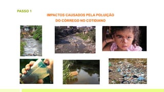 IMPACTOS CAUSADOS PELA POLUIÇÃO
DO CÓRREGO NO COTIDIANO
PASSO 1
 