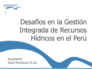 Desafíos en la Gestión
      Integrada de Recursos
          Hídricos en el Perú

Expositor:
Saúl Montoya M.Sc.
 