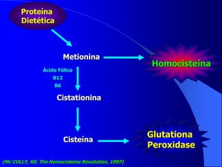 Proteína
Dietética
Metionina
Cistationina
Ácido Fólico
B12
B6
Cisteína
Glutationa
Peroxidase
Homocisteína
(Mc CULLY, KS. The Homocisteine Revolution, 1997)
 