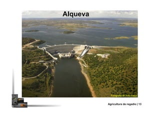 Alqueva
Agricultura de regadio | 13
 