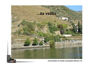 ...às vezes
mas também se molda a situações difíceis | 16
 