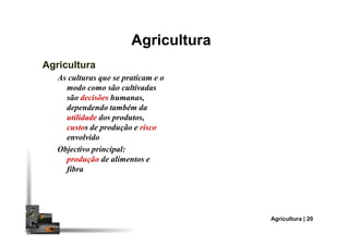 Agricultura
AgriculturaAgricultura
As culturas que se praticam e o
modo como são cultivadas
são decisões humanas,
dependendo também da
utilidade dos produtos,
custos de produção e risco
Agricultura | 20
custos de produção e risco
envolvido
Objectivo principal:
produção de alimentos e
fibra
 
