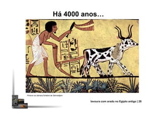 Há 4000 anos
Pintura na câmara fúnebre de Sennedjem
lavoura com arado no Egipto antigo | 28
 