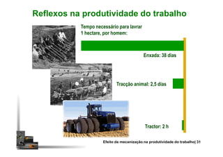 Reflexos na produtividade do trabalho
Tempo necessário para lavrar
1 hectare, por homem:
Enxada: 38 dias
Tracção animal: 2,5 dias
Tractor: 2 h
Efeito da mecanização na produtividade do trabalho| 31
 