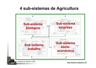 SubSub--sistemasistema
biológicobiológico
4 sub-sistemas de Agricultura
SubSub--sistemasistema
empresaempresa
Adaptado de Raeburn (1983)
SubSub--sistemasistema
sóciosócio--
económicoeconómico
SubSub--sistemasistema
trabalhotrabalho
PrSub-sistema trabalho | 35
 