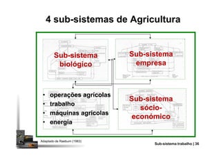 SubSub--sistemasistema
biológicobiológico
4 sub-sistemas de Agricultura
SubSub--sistemasistema
empresaempresa
•• operações agrícolasoperações agrícolas
•• trabalhotrabalho
•• máquinas agrícolasmáquinas agrícolas
•• energiaenergia
Adaptado de Raeburn (1983)
SubSub--sistemasistema
sóciosócio--
económicoeconómico
PrSub-sistema trabalho | 36
 