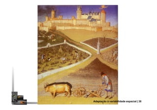 Adaptação à variabilidade espacial | 38
 