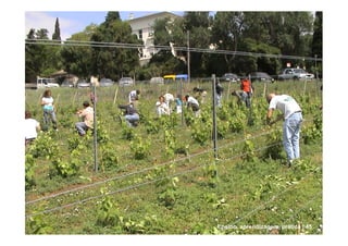 Ensino, aprendizagem, prática | 45
 