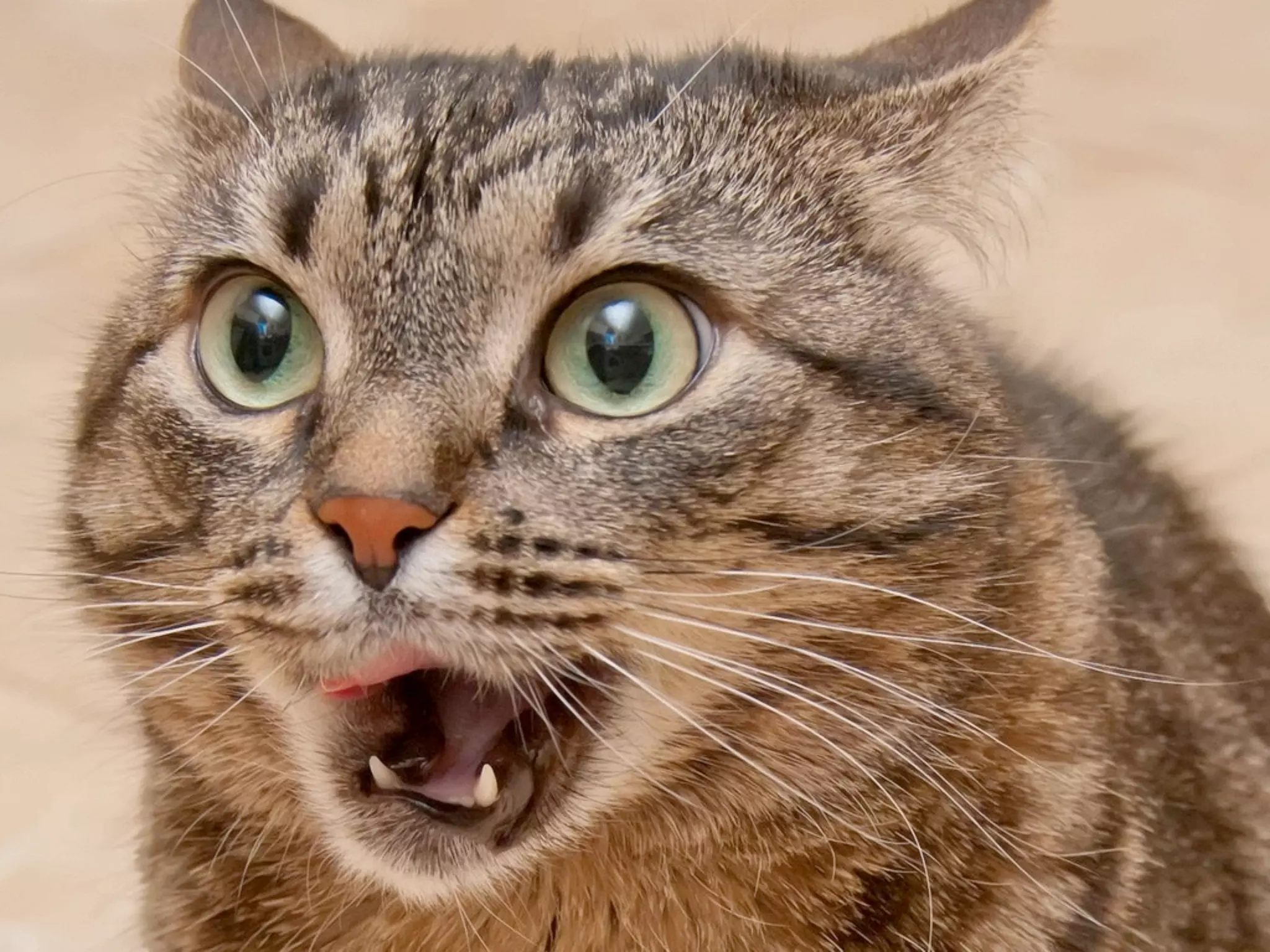 "Mas tem muita coisa que
não dá pra testar, né?"
 