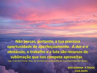 Não percas, portanto, a tua preciosa
oportunidade de aperfeiçoamento. A dor e o
obstáculo, o trabalho e a luta são recursos de
sublimação que nos compete aproveitar.
Cap. 6 do livro Fonte Viva, de Emmanuel- psicografia de Francisco Cândido Xavier.
BOA SEMANA A TODOS
CLEA ALVES
 