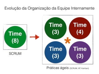 Time
(8)
Evolução da Organização da Equipe Internamente
Time
(3)
Time
(4)
Time
(3)
Time
(3)
*SCRUM
Práticas ágeis (SCRUM, XP, Kanban)
 