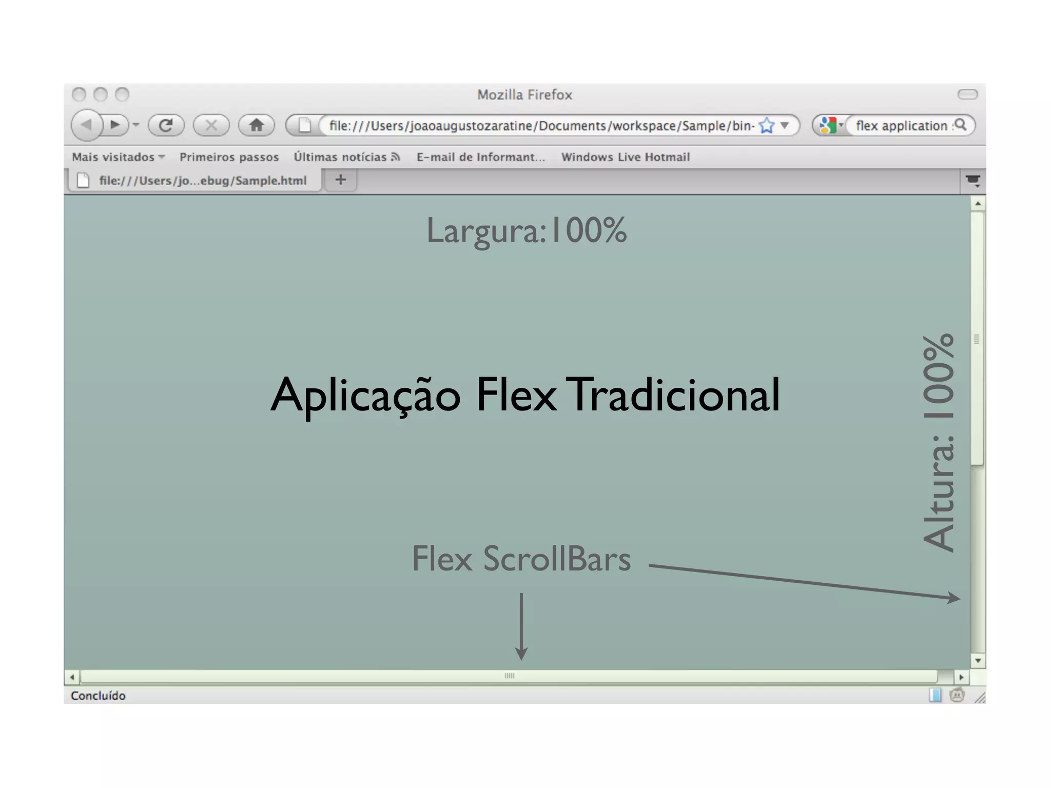 Largura:100%




                             Altura: 100%
Aplicação Flex Tradicional


       Flex ScrollBars
 