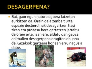  Bai, gaur egun natura egoera latzetan
aurkitzen da. Orain dala zenbait urte,
espezie desberdinak desagertzen hasi
ziran eta prozesu bera gertatzen jarraitu
da orain arte. Izan ere, aldatu dan gauza
animalien desagerpena eragiten dauana
da. Gizakiok gertaera honeen erru nagusia
dabe.
 