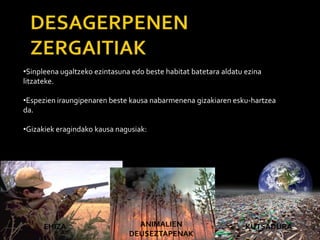 •Sinpleena ugaltzeko ezintasuna edo beste habitat batetara aldatu ezina
litzateke.
•Espezien iraungipenaren beste kausa nabarmenena gizakiaren esku-hartzea
da.
•Gizakiek eragindako kausa nagusiak:
EHIZA ANIMALIEN
DEUSEZTAPENAK
KUTSADURA
 