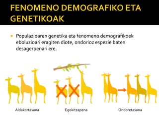  Populazioaren genetika eta fenomeno demografikoek
eboluzioari eragiten diote, ondorioz espezie baten
desagerpenari ere.
Aldakortasuna OndoretasunaEgokitzapena
 