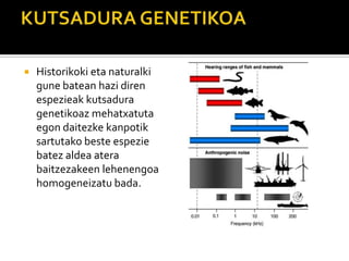  Historikoki eta naturalki
gune batean hazi diren
espezieak kutsadura
genetikoaz mehatxatuta
egon daitezke kanpotik
sartutako beste espezie
batez aldea atera
baitzezakeen lehenengoa
homogeneizatu bada.
 