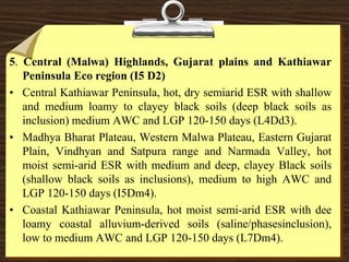 5. Central (Malwa) Highlands, Gujarat plains and Kathiawar
Peninsula Eco region (I5 D2)
• Central Kathiawar Peninsula, hot, dry semiarid ESR with shallow
and medium loamy to clayey black soils (deep black soils as
inclusion) medium AWC and LGP 120-150 days (L4Dd3).
• Madhya Bharat Plateau, Western Malwa Plateau, Eastern Gujarat
Plain, Vindhyan and Satpura range and Narmada Valley, hot
moist semi-arid ESR with medium and deep, clayey Black soils
(shallow black soils as inclusions), medium to high AWC and
LGP 120-150 days (I5Dm4).
• Coastal Kathiawar Peninsula, hot moist semi-arid ESR with dee
loamy coastal alluvium-derived soils (saline/phasesinclusion),
low to medium AWC and LGP 120-150 days (L7Dm4).
 