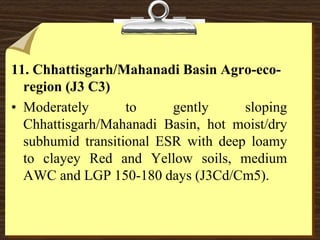 11. Chhattisgarh/Mahanadi Basin Agro-eco-
region (J3 C3)
• Moderately to gently sloping
Chhattisgarh/Mahanadi Basin, hot moist/dry
subhumid transitional ESR with deep loamy
to clayey Red and Yellow soils, medium
AWC and LGP 150-180 days (J3Cd/Cm5).
 