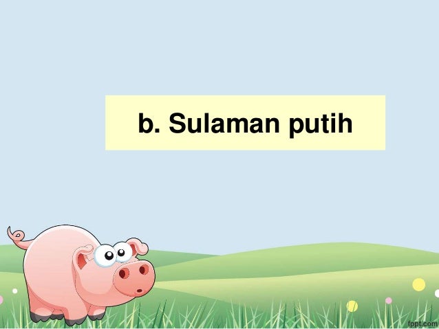 Desain Hiasan X Tata Busana Smk