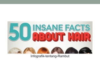 Infografik-tentang-Rambut
 