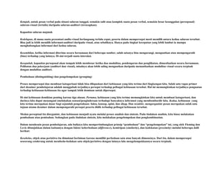 Ketujuh, untuk pesan verbal pada situasi saluran tunggal, semakin sulit atau komplek suatu pesan verbal, semakin besar keunggulan (persepsual)
saluran-visual (tertulis) daripada saluran-auditori (terucapkan).
Kapasitas saluran majmuk
Kedelapan, di mana suatu presentasi audio-visual berlangsung terlalu cepat, peserta dalam mempersepsi mesti memilih antara kedua saluran tersebut.
Bisa jadi ia lebih memilih informasi-auditori daripada visual, atau sebaliknya. Hanya pada tingkat kecepatan yang lebih lambat ia mampu
menghubungkan informasi dari kedua saluran.
Kesembilan, ketika informasi diterima secara bersamaan dari beberapa sumber, salah satunya bisa mengurangi, menguatkan atau mempengaruhi
(bias) terhadap yang lainnya. Di sini terjadi suatu interaksi.
Kesepuluh, kapasitas persepsual akan tampak lebih membesar ketika dua modalitas, pendengaran dan penglihatan, dimanfaatkan secara bersamaan.
Pelibatan dua pekerjaan (auditori dan visual), misalnya akan lebih saling menguatkan daripada memanfaatkan modalitas visual secara terpisah
dengan modalitas auditori.
Pembedaan (distinguishing) dan pengelompokan (grouping)
Proses mempersepsi dan membuat katagorisasi tidak bisa dilepaskan dari kebiasaan yang kita terima dari lingkungan kita. Salah satu tugas primer
dari desainer pembelajaran adalah menggubah terjadinya persepsi terhadap pelbagai kebiasaan tersebut. Hal ini memungkinkan terjadinya penguatan
terhadap kebiasaan-kebiasaan itu agar tampak lebih dominan untuk dipersepsi.
Di sini kebiasaan demikian penting karena tiga alasan. Pertama, kebiasaan yang kita terima memungkinkan kita untuk membuat katagorisasi, dan
darinya kita dapat menangani (melakukan sensasi/penginderaan terhadap) banyaknya informasi yang membombardir kita. Kedua, kebiasaan yang
kita terima merupakan dasar bagi sejumlah pengetahuan: fakta, konsep, opini, dan sikap. Dan terakhir, mengorganisir pesan merupakan salah satu
tujuan utama desainer dalam mempengaruhi persepsi peserta didik terhadap pelbagai kebiasaan tersebut.
Medan perseptual itu diorganisir, dan kebiasaan menjadi nyata melalui proses analisis dan sintesis. Pada tindakan analisis, kita biasa melakukan
pembedaan atau pemisahan. Sedangkan pada tindakan sintesis, kita melakukan pengelompokan dan pengkombinasian.
Dalam mendesain pesan pembelajaran, ada baiknya kita mempertimbangkan prinsip “pembedaan” dan “pengelompokan” ini, yang oleh Fleming dan
Levie ditunjukkan dalam kaitannya dengan faktor keberbedaan (difference), kemiripan (similarity), dan kedekatan (proximity) melalui beberapa dalil
berikut:
Kesebelas, objek atau peristiwa itu dimaknai berlainan karena memiliki perbedaan satu atau banyak dimensinya. Dari itu, dalam mempersepsi
seseorang cenderung untuk membeda-bedakan satu objek/peristiwa dengan lainnya lalu mengelompokkannya secara terpisah.

 