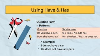 Has Questions basic english grammar (have/has,possessive adjectives, pronoun ...