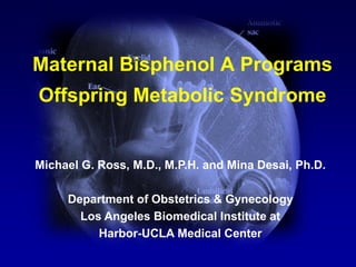 Maternal Bisphenol A Programs Offspring Metabolic Syndrome 
Michael G. Ross, M.D., M.P.H. and Mina Desai, Ph.D. 
Department of Obstetrics & Gynecology Los Angeles Biomedical Institute at 
Harbor-UCLA Medical Center  