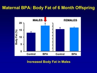 Maternal BPA: Body Fat of 6 Month Offspring 
Control BPA 
Body Fat (%) 
0 
5 
10 
15 
20 
Control BPA 
MALES FEMALES 
* 
I...
