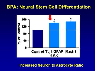 BPA: Neural Stem Cell Differentiation 
Increased Neuron to Astrocyte Ratio 
Control Tuj1/GFAP Mash1 
% of Control 
0 
40 
...