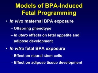 Models of BPA-Induced Fetal Programming 
•In vivo maternal BPA exposure 
–Offspring phenotype 
–In utero effects on fetal ...