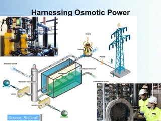 Harnessing Osmotic Power Source: Statkraft 