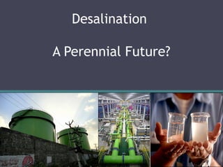 Desalination

A Perennial Future?
 