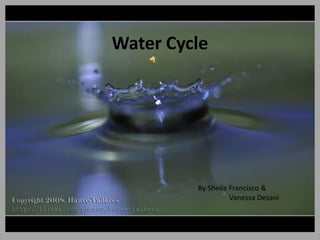 Water Cycle By Sheila Francisco &                 Vanessa Desani 