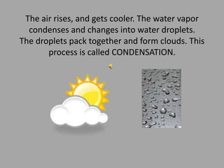 The air rises, and gets cooler. The water vapor condenses and changes into water droplets. The droplets pack together and form clouds. This process is called CONDENSATION.