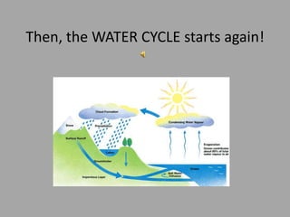 Then, the WATER CYCLE starts again!