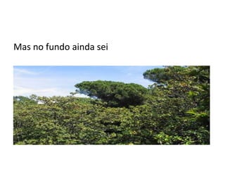 Mas no fundo ainda sei
 
