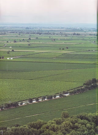 Bimby - De Santarém a Évora