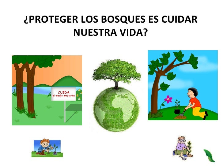 Resultado de imagen para cuidar el bosque
