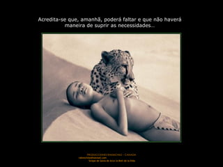 PRODUCCIONES RAKIMCHILE – CANADA rakimchile@hotmail.com  Sirope de Savia de Arce la Miel de la Vida Acredita-se que, amanhã, poderá faltar e que não haverá maneira de suprir as necessidades… 