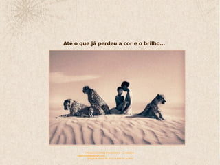 Até o que já perdeu a cor e o brilho... 