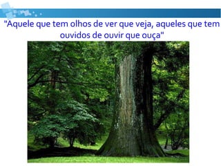 "Aquele que tem olhos de ver que veja, aqueles que tem
ouvidos de ouvir que ouça"
 