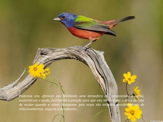 Podemos sim, oferecer aos familiares uma atmosfera de compreensão e apoio, sustentáculo e ajuda, facilitando a posição para que eles tenham por si sós a decisão de mudar quando e como desejarem, pois essas são atitudes possibilitadoras de relacionamentos  seguros e duradouros. 