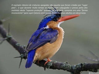 O exemplo clássico de criaturas apegadas são aquelas que foram criadas por “super pais”,  e que durante muito tempo se mantiveram subjugadas e presas pelos fios invisíveis desta “suposta proteção” quando, na realidade, somente era uma “forma inconsciente” para suprir fatores emocionais destes mesmos adultos em desarranjo. 