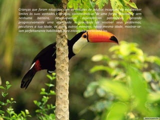 Crianças que foram educadas com as atitudes de adultos incapazes de estabelecer limites às suas vontades e desejos, contentando-as de uma forma ilimitada e sem nenhuma barreira, desenvolveram dependências patológicas, gerando progressivamente uma acentuada incapacidade de resolver seus problemas, peculiares a sua idade, os quais, outros menores, nessa mesma idade, mostrar-se-iam perfeitamente habilitados para encará-los e selecioná-los. 