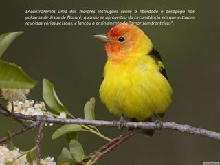 Encontraremos uma das maiores instruções sobre a liberdade e desapego nas palavras de Jesus de Nazaré, quando se aproveitou da circunstância em que estavam reunidas várias pessoas, e lançou o ensinamento do “amor sem fronteiras”. 