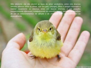 Não obstante, ela não destrói os laços do amor verdadeiro, antes cria diversos vínculos afetivos entre as almas, que ora pais, cônjuges, filhos e amigos retornam a habitar novamente os mesmos tetos em épocas diversas, e em posições completamente diferentes, estabelecendo na consciência uma maneira universalista de ver os relacionamentos da afeição e da simpatia, sem aprisionamentos ou dependências. 