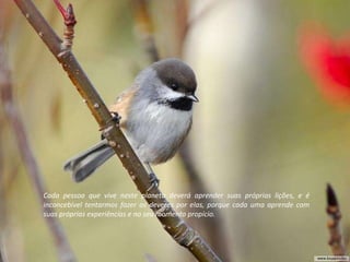 Cada pessoa que vive neste planeta deverá aprender suas próprias lições, e é inconcebível tentarmos fazer os deveres por elas, porque cada uma aprende com suas próprias experiências e no seu momento propício. 